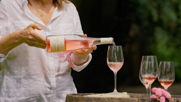Leduc Frouin - La Seigneurie - Aop Rose D Anjou - Rosé - 2024 - 0,75