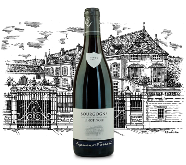 Domaine Capuano Ferreri - Bourgogne Pinot Noir - Aop Bourgogne - Rouge - 2023 - 0,75