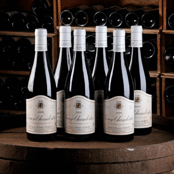 Domaine Thierry Mortet - Gevrey Chambertin - Aop Gevrey Chambertin - Rouge - 2021 - 0,75