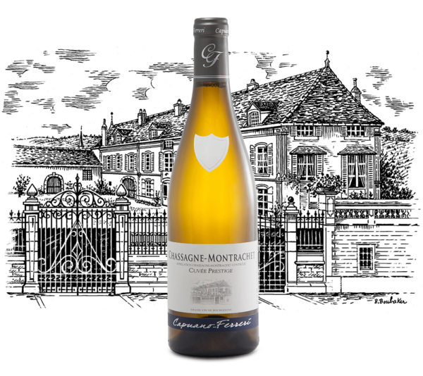 Domaine Capuano Ferreri - Chassagne Montrachet Cuvée Prestige - Aop Chassagne Montrachet - Blanc - 2022 - 0,75