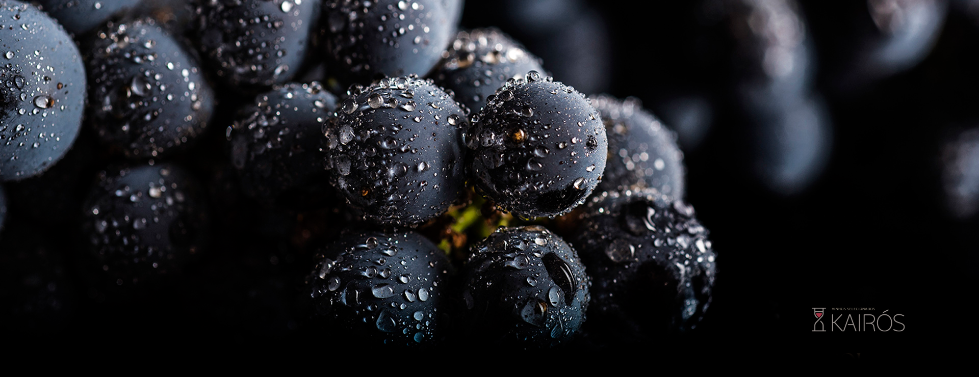 KAIRÓS Vinhos Selecionados