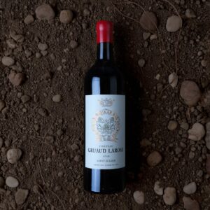 Chateau Gruaud Larose - Chateau Gruaud Larose - Aop Saint Julien - Rouge - 1999 - 0,75