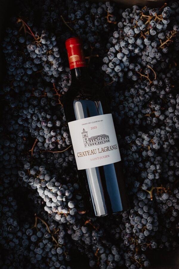Chateau Lagrange - Chateau Lagrange - Aop Saint Julien - Rouge - 2021 - 0,75