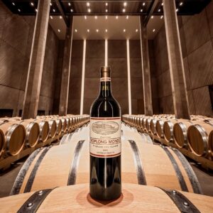 Chateau Troplong Mondot - Chateau Troplong Mondot - Aop Saint Emilion Grand Cru - Rouge - 2017 - 0,75